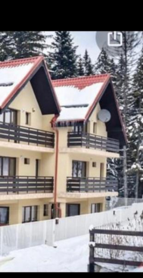 Vila Ghencea Predeal